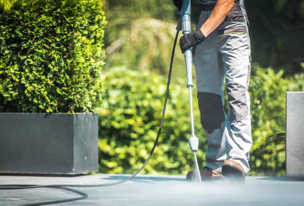 Best House Exterior Washing  in Pine Manor, FL