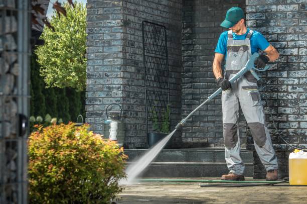 Best Soft Washing  in Pine Manor, FL