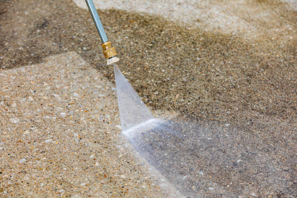 Best Driveway Pressure Washing  in Pine Manor, FL