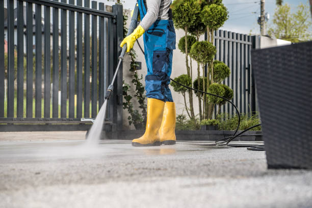 Best Graffiti Removal  in Pine Manor, FL
